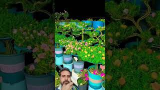 Download Lagu Let's take a look at the moss rose at night #shorts #mossrose #ladysmantle #saracen #ourplants MP3 Download Lagu Let's take a look at the moss rose at night #shorts #mossrose #ladysmantle #saracen #ourplants MP3