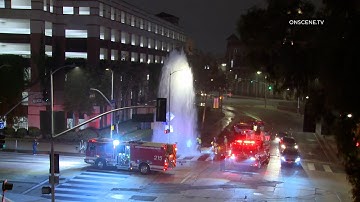 EXPOSITION PARK Flowing Hydrant