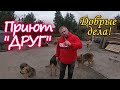 Поездка в приют для собак "Друг".