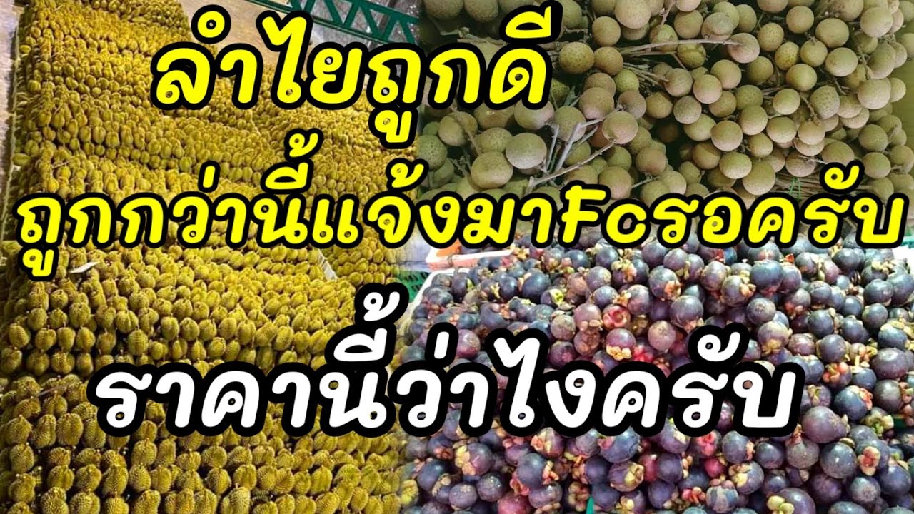 🔴ราคาทุเรียนวันนี้ / ราคามังคุด / ราคาลำไย / ผลไม้ราคาส่ง/yutthapongchanal