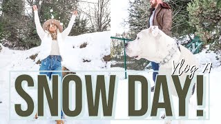 Famous VLOG 71 | SNOW DAY IN LAKE ARROWHEAD + Aesthetic Snowy Mountain Drive + Day In My Life 2021 Net Worth