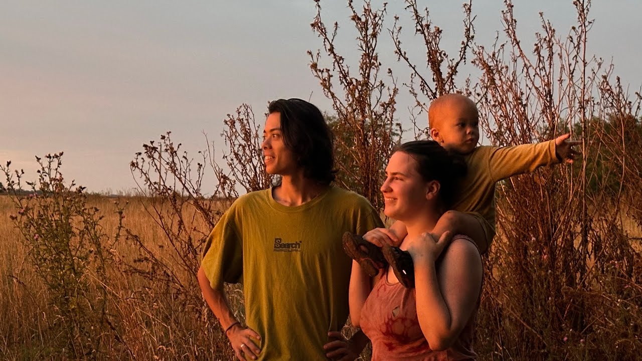 Как мы строили домик на дереве в Аргентине 