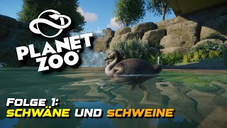 Schwäne und Schweine! - Folge 1 - Planet Zoo
