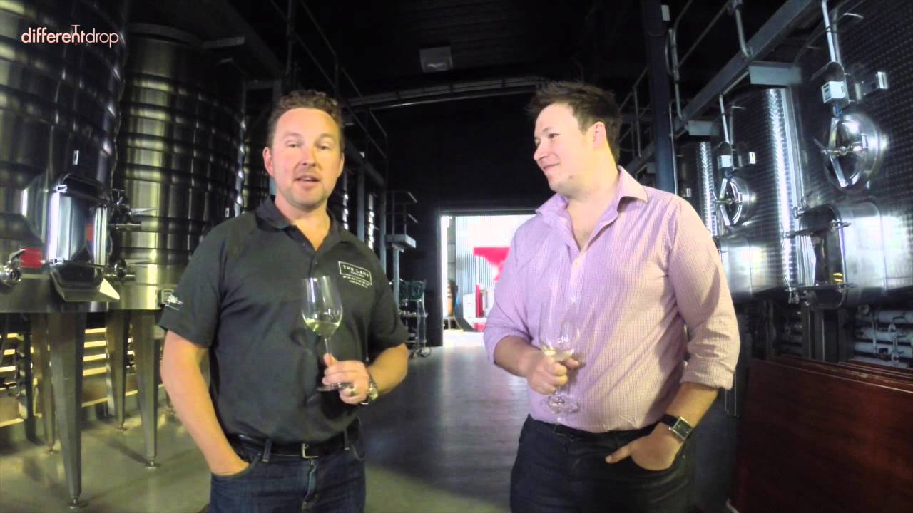 A Visit to The Lane Vineyard - Adelaide Hills, SA