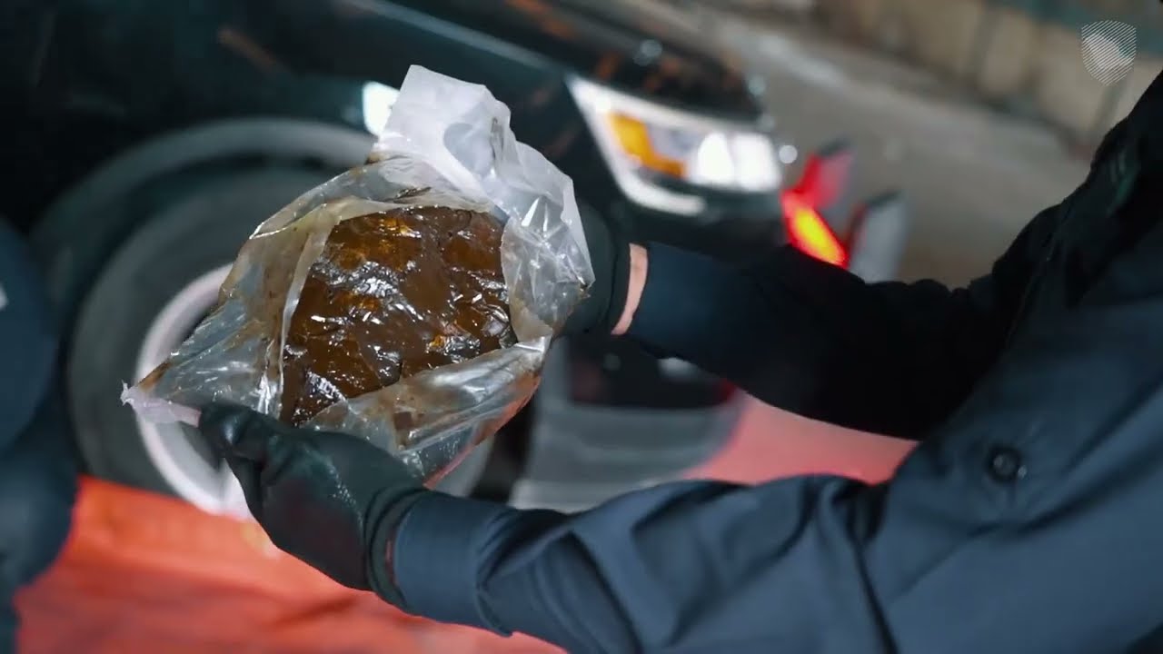 إحباط محاولة تهريب أكثر من 81 كيلوجرام من مادة الحشيش