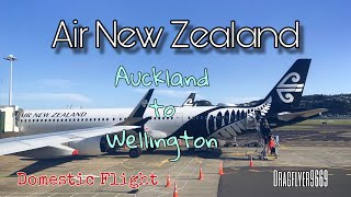 Stunning Landing into Wellington (Air New Zealand)