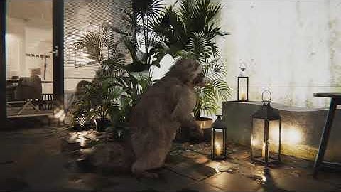 Malbers Raccoon with Fluffy Grooming Tool in ArchViz