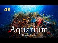 【4K】お家で水族館|リラックス音楽と海の自然音|お魚アクアリウム