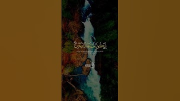 #المنشاوي #سورة_القصص #quran #