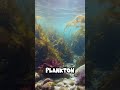 Did you know? Ocean 🌊