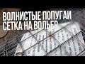 волнистые попугаи птенцы  сетка на вольер