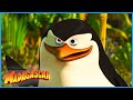 The Penguins Save The Day!  🦁 Madagascar | Animal Friends