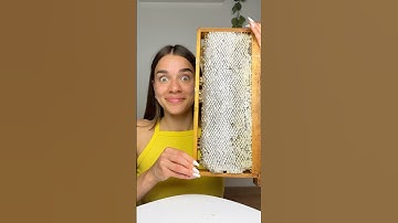 Eating Real Honey ASMR🍯 Do you like it? #eating #food #asmr #honey