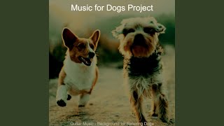 Simple Backdrops for Dogs at Home