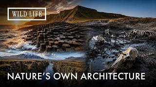 Giant's Causeway, the La Brea Tar Pits & the Edge of Two Continents | Impossible Planet | Ep. 4