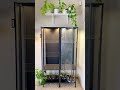 IKEA Greenhouse Cabinet: RUDSTA Tall Part 1 