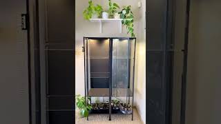 IKEA Greenhouse Cabinet: RUDSTA Tall Part 1 🍃 Subscribe for part 2