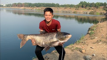Cá mè khủng 27kg hồ đá