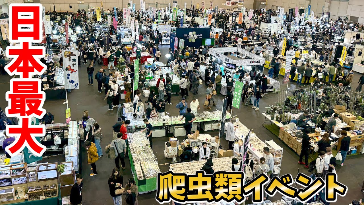 全ショップが【本気】の日本最大級の爬虫類イベントがとにかくヤバすぎた！！