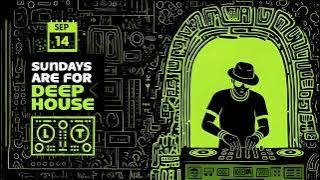 Soulful Deep House Mix 2025 | Sundays Are For Deep House Vol 3 | LT |