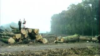Zangduo Marijke Boon En Stef Van Der Linden De Bol I S Amelisweerd.