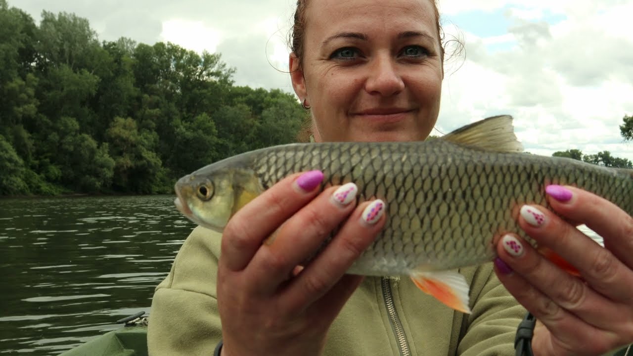 Pergetés Szalai Gáborral - 77. adás: Domolykó pergetés a Tiszán