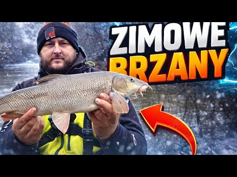 BRZANY NA FEEDER