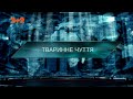 Тваринне чуття — Загублений світ. 5 сезон 18 випуск