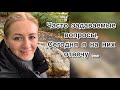 Готовлю , Соус с курочкой и грибами 🍲 Немного обо мне 😉 ответы на частые вопросы ✔️Прогулка в лесу