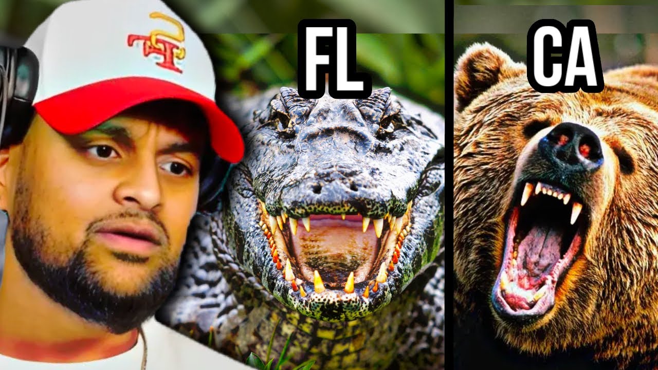 RDC Reacts to Most Dangerous Animals In Each State!