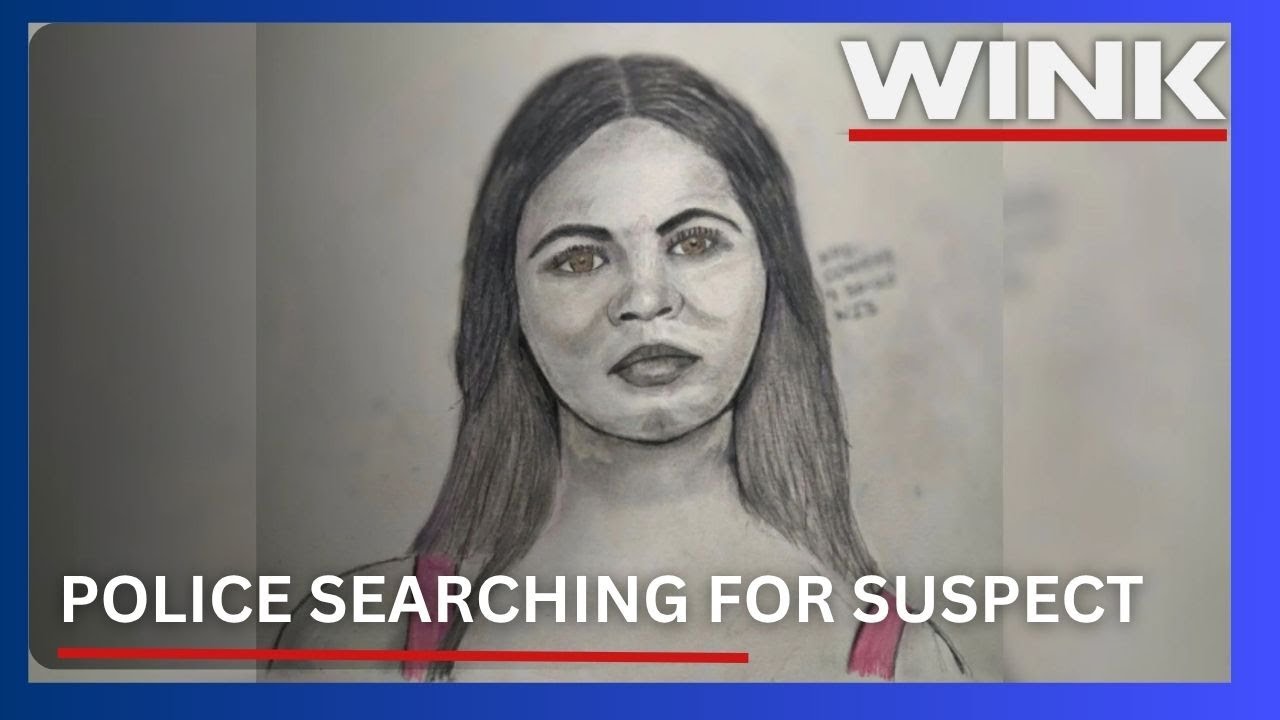 Naples police seek help identifying suspect in Freedom Park incident ...