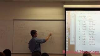 Famous Rule ordering: Feeding and counterfeeding Net Worth