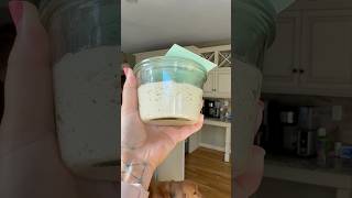 Gluten Free Sourdough Starter Series for Beginners Days 8-14 Discard/Feeding Schedule Instructions