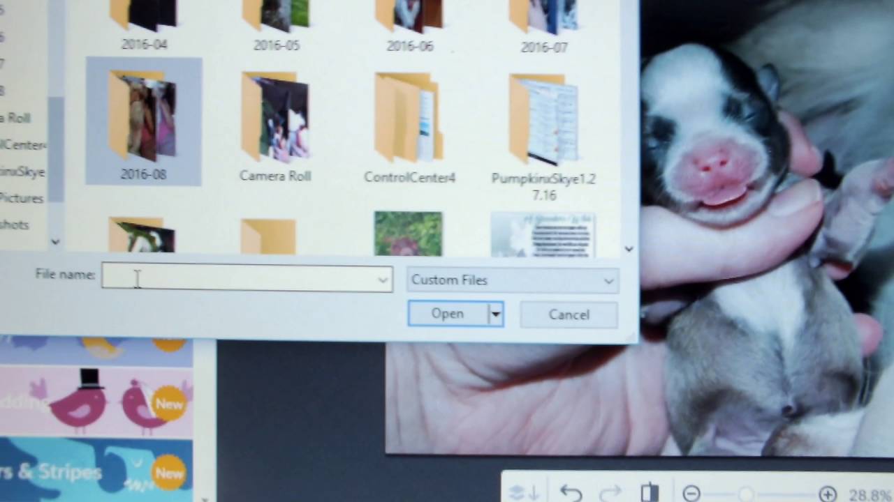 How to put your logo on pictures in PicMonkey