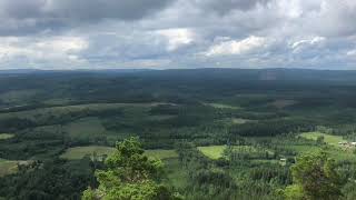 Tillbakablick