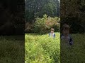 ライブ ハイライト