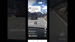 Tu Commence Pas À Me Choper Par Le Colback