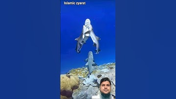 Al Ikhlas #egzonibrahimi #سورة_الإخلاص#ikhlas#shortvideo #ikhlas #nature #shortvideo #islamicstatus