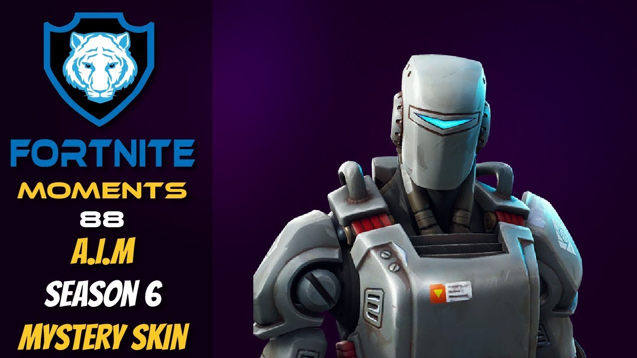 Fortnite Mystery Skin Season 6