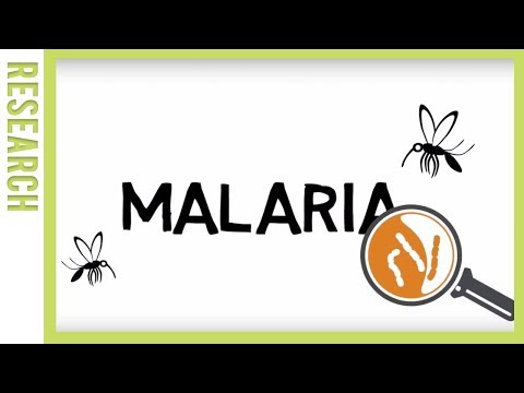 A way to reduce the spread of malaria | WUR