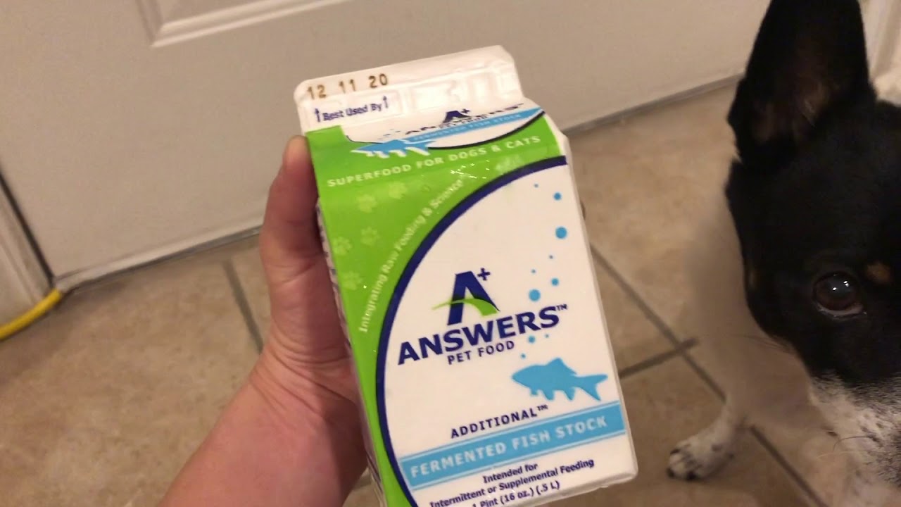 Answer's Fermented Fish Stock Review YouTube