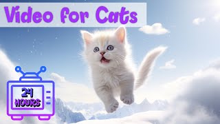 24 HOURS of Soothing Music for Sensitive Cats | Relaxing Music for Happy Cats Along - Cat Music