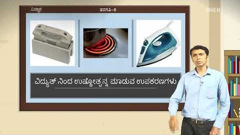 Bridge course - Science - 8th - Day 6