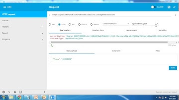 Salesforce Rest API Integration Advance Rest API Client Google Chrome Part II