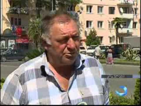 სოფელ აჭში მიმდინარე გზის საამშენებლო სამუშაოებს კოლხური ბზის კორომები შეეწირა