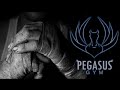 Pegasus gym   another training day