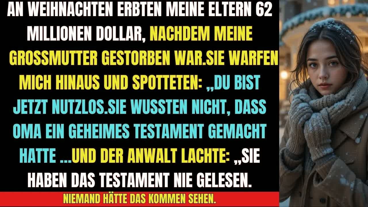 „An Weihnachten warf mich meine Familie raus – sie ahnten nicht, was Oma heimlich geplant hatte…