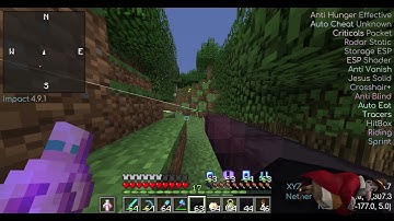 How to dupe on 5b5t (Easy)