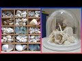 creative artistic Sea Shell craft/centerpiece home decoration