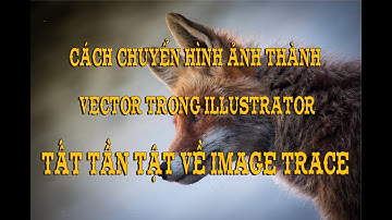 Cách chuyển hình ảnh thành vector trong illustrator - Tất tần tật về IMAGE TRAGE